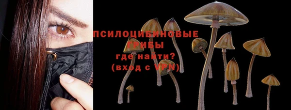 эйфоретик Армянск
