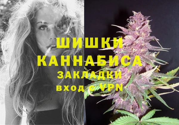 СК Арсеньев