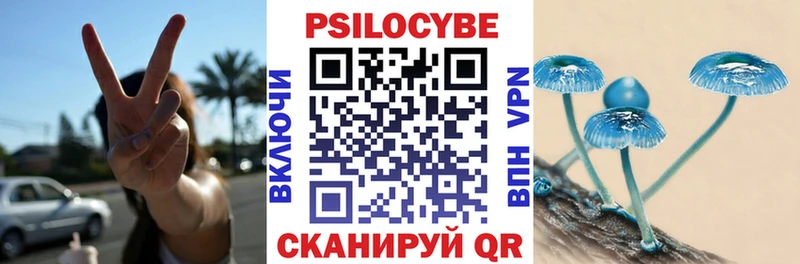 Псилоцибиновые грибы Psilocybine cubensis  blacksprut зеркало  Усмань  дарнет шоп 